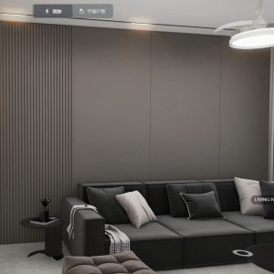 Living sofa behind Feature Wall