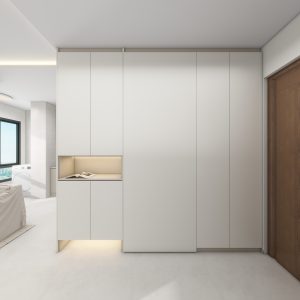 Foyer Full Height Shoe Cabinet and Bomb Shelver Door (8 feet)