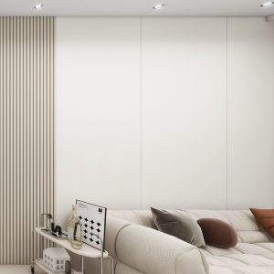 Living sofa behind Feature Wall