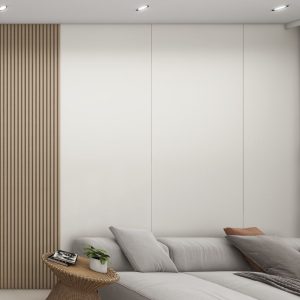 Living sofa behind Feature Wall