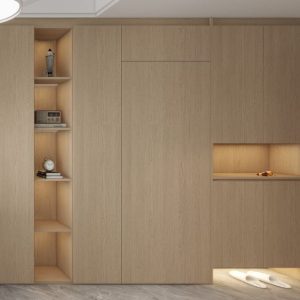 Foyer Full Height Shoes Cabinet and Bomb Shelter Door (10 feet)