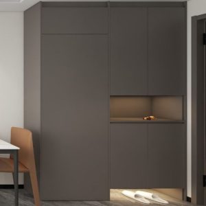 Foyer Full Height Shoes Cabinet and Bomb Shelver Door (6 feet)