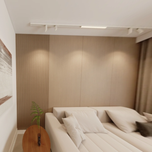 Living Room sofa behind Feature Wall