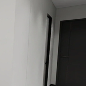 Feature Wall of Bomb Shelter with Tic-Tac Door
